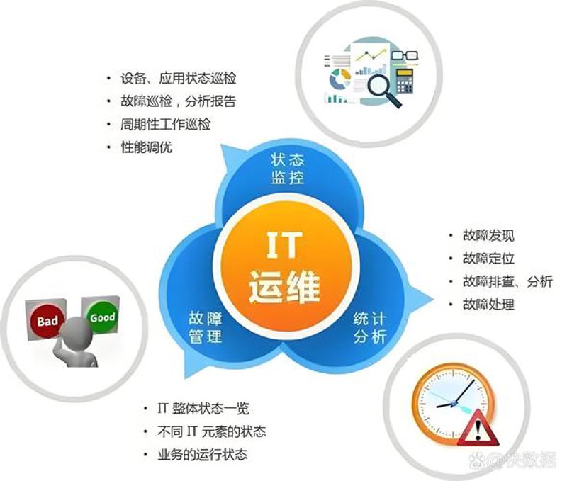 上海网络科技公司的创新风向标
